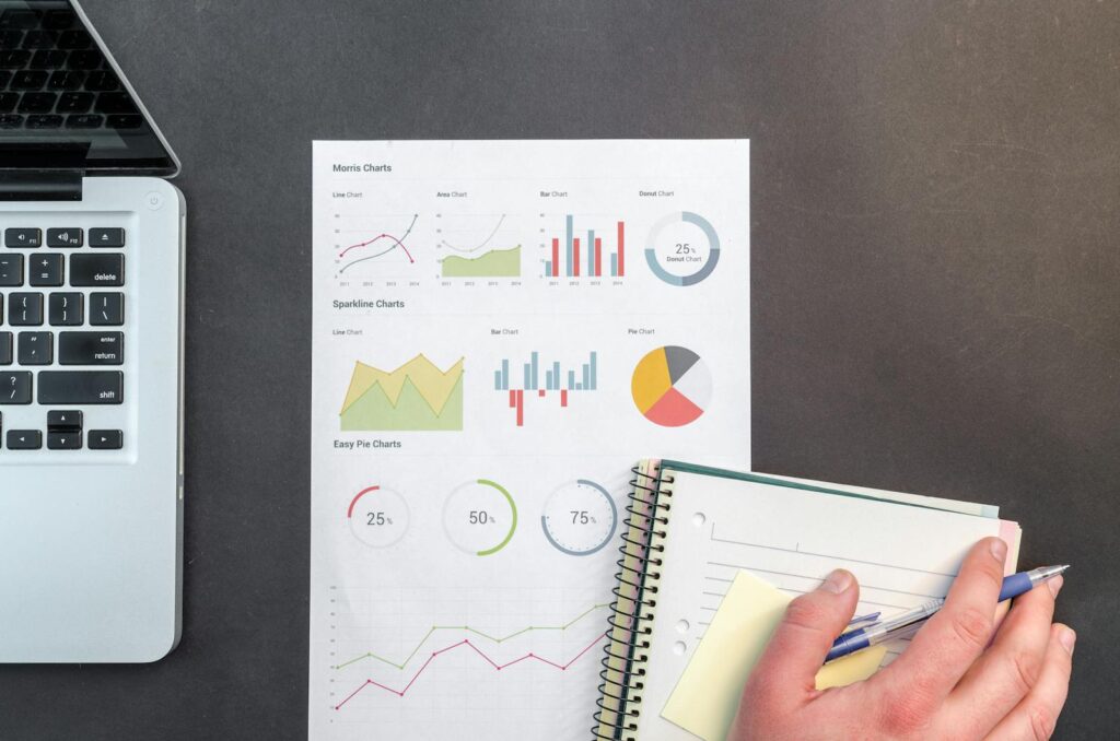 hvad er økonomistyring? betydning